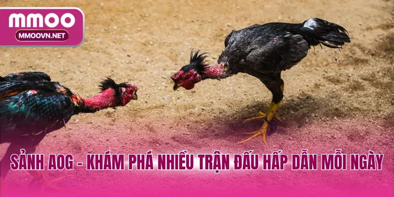 Sảnh AOG - Khám phá nhiều trận đấu hấp dẫn mỗi ngày