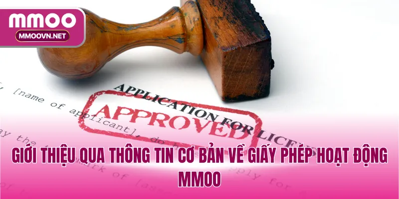 Giới thiệu qua thông tin cơ bản về giấy phép hoạt động MMOO
