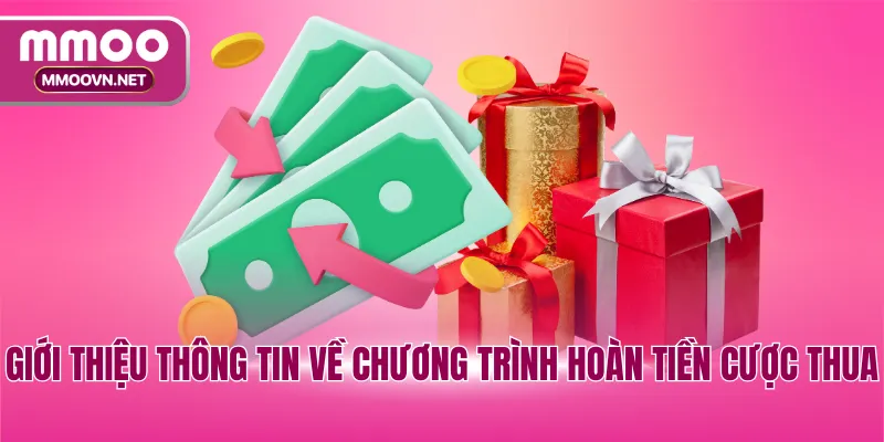 Giới thiệu thông tin về chương trình hoàn tiền cược thua