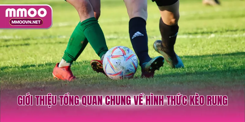 Giới thiệu tổng quan chung về hình thức kèo rung