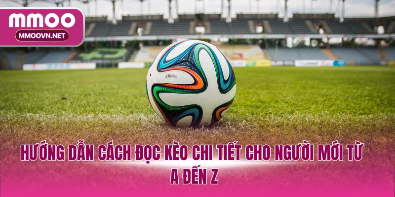 Hướng dẫn cách đọc kèo chi tiết cho người mới từ A đến Z