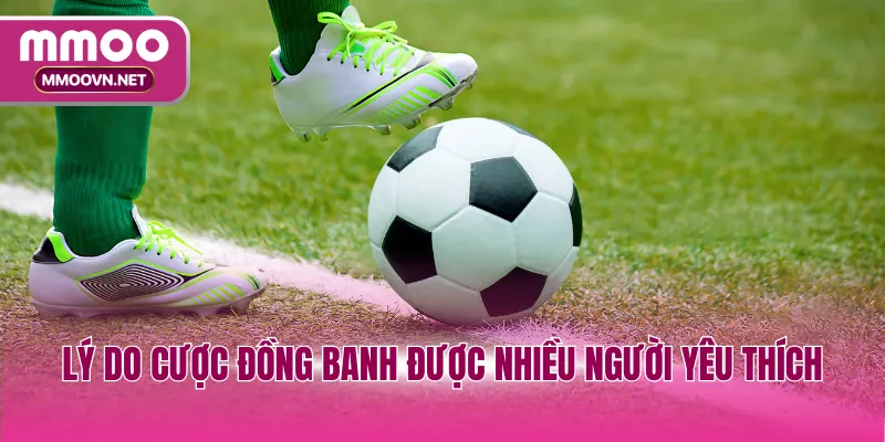 Lý do cược đồng banh được nhiều người yêu thích