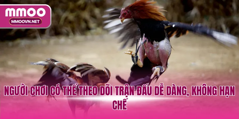 Người chơi có thể theo dõi trận đấu dễ dàng, không hạn chế